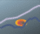 grapher.gif - 2545 Bytes